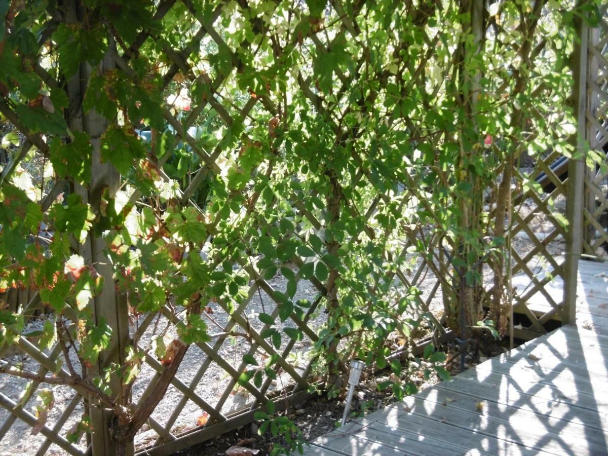 Le Chat Qui Peche B&B Chateauneuf-la-Foret Exterior foto